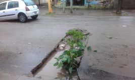 IMG-20181202-WA0037.jpg