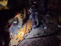 Operativo exitoso de la Comisaría 12: localizaron y salvaron a una adolescente en Valle Fértil Operativo exitoso de la Comisaría 12: localizaron y salvaron a una adolescente en Valle Fértil