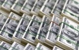 El d&oacute;lar oficial cort&oacute; la racha alcista y se mantuvo cerca de los m&aacute;ximos del a&ntilde;o