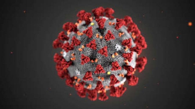 Coronavirus: son 170 los muertos y 7.711 los infectados