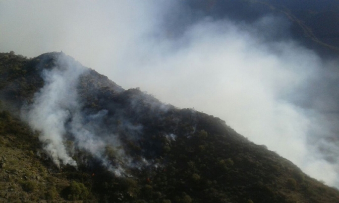 Incendio en Valle Fértil