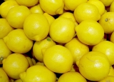 Estados Unidos suspendió la importación de limones argentinos