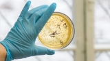 Los microbios serán la primera causa de muerte en el mundo