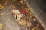 Encontraron un artefacto explosivo frente a la casa de un hijo de Stornelli