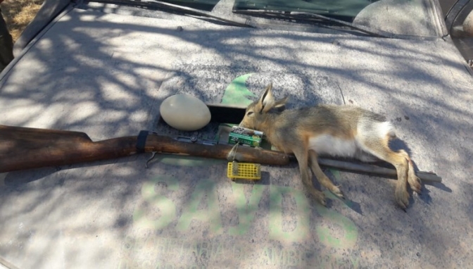 Ambiente decomisó armas, aves, una liebre muerta y un huevo de avestruz