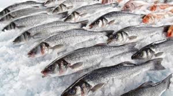 Salud Pública controlará a comercios y vendedores ambulantes de pescado