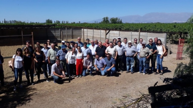 La actividad ovina genera gran interés entre los productores