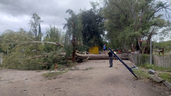 Fuerte tormenta causó estragos en Valle Fértil: crecidas, árboles caídos y cortes de luz