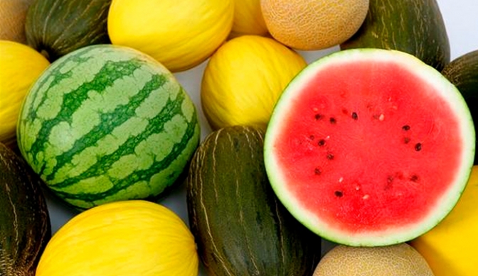 Fuerte crecimiento de frutas y hortalizas de San Juan en el Central
