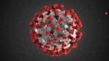 Coronavirus: suman 717 los fallecidos y 24.761 los infectados en el país