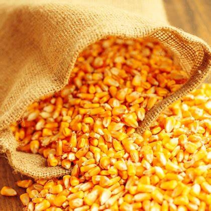 Continúa la racha alcista de la soja, el maíz y el trigo en el Mercado de Chicago