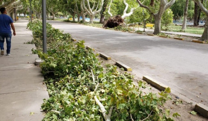 Trabajan en el Parque de Mayo tras la caída de árboles y ramas