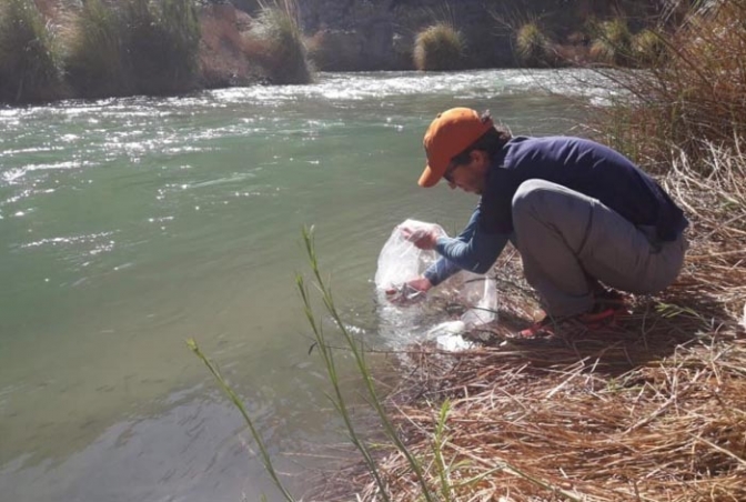Ambiente vedó la pesca en el río Calingasta por un año