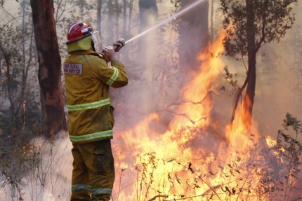 Los incendios que destruyeron más de 100 mil hectáreas en Grecia