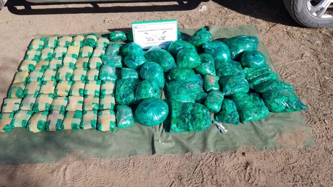 Interceptan dos ómnibus e incautan más de 19 kilos de hojas de coca en Valle Fértil