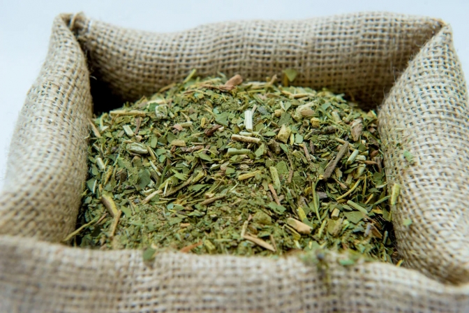 Preocupación en el sector: la cosecha de yerba mate cayó más del 30% en el primer trimestre del año