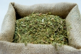 Preocupación en el sector: la cosecha de yerba mate cayó más del 30% en el primer trimestre del año