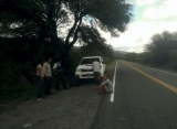 Ambiente infraccionó a turistas que depredaban la flora en Valle Fértil