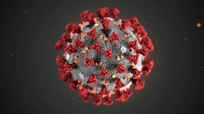 Otras 359 personas murieron y 14.740 fueron diagnosticadas con coronavirus en el país