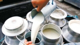 Se comercializaron ilegalmente 95.596kg de leche en polvo, 2472kg de sales de rehidratación y 1.000kg de suero.