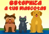 La esterilizaci&oacute;n de animales de compa&ntilde;&iacute;a llegar&aacute; a cuatro departamentos en diciembre