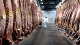 Hubo exportación récord de carne vacuna y el consumo interno bajó 5 kg por habitante