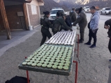 Secuestran 431 recipientes metálicos cilíndricos con marihuana en pomada