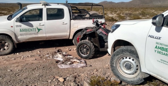 Ambiente labró una nueva infracción por depredación de fauna