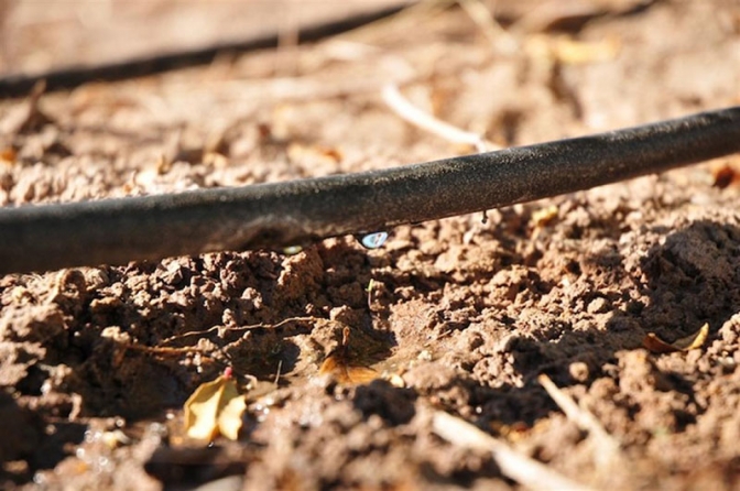 Subsidios para riego agrícola