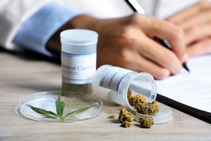 El Senado aprobó el uso medicinal de la marihuana
