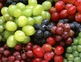 Senasa capacitar&aacute; a productores de uva en fresco