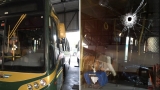 Matan a un colectivero en un robo y pararon líneas del sur del GBA