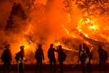 Preocupa la aparición de nuevos focos de incendios forestales en Chubut, Río Negro y Neuquén