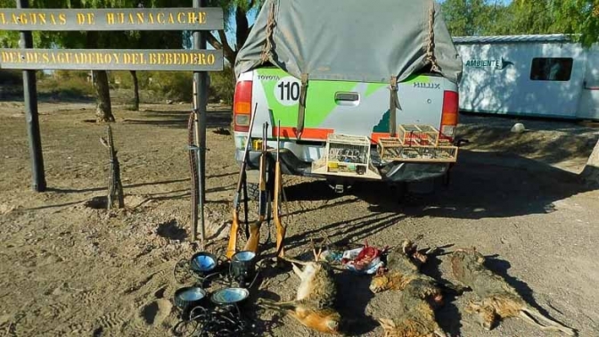 Ambiente realizó fuertes operativos de flora y fauna durante el fin de semana