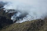 Informe oficial sobre incendios en Valle F&eacute;rtil