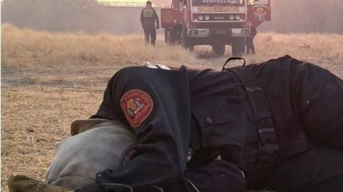Incendios: intensa lucha en La Pampa, Buenos Aires y Río Negro