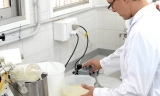 El INTA creó un bioplástico con residuos de la industria quesera