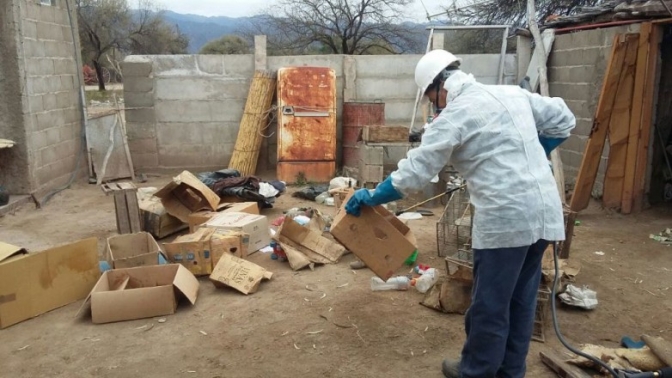 Este martes comienza un operativo de control y desinsectación de vinchucas en Villa del Carril