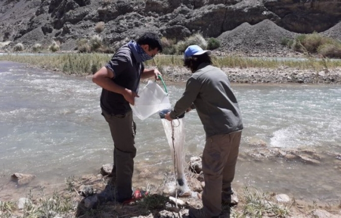 El Parque de la Biodiversidad realiza nuevos monitoreos en cuerpos de agua