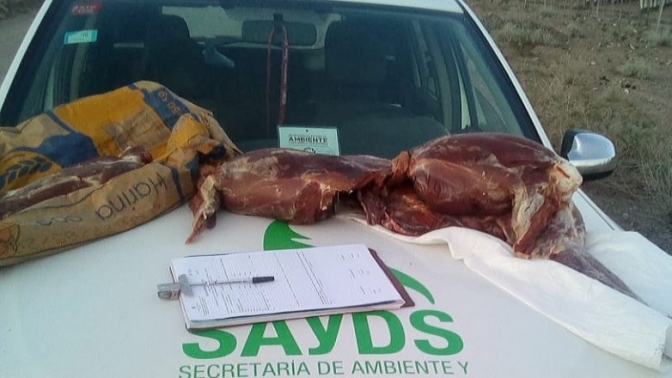 Ambiente realizó 11 infracciones en controles de flora y fauna en toda la provincia