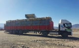 En Centro de Residuos de Iglesia trasladó más de 15 mil kilos de materiales al PTA