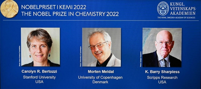 Carolyn Bertozzi, Barry Sharpless y Morten Meldal ganaron el Nobel de Química 2022