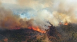 Un incendio de bosques se extiende en el Parque Nacional Los Alerces