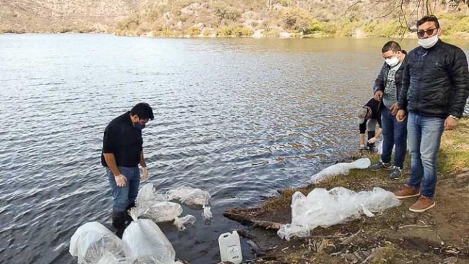 Ambiente sembró pejerreyes y sogyos en el dique San Agustín