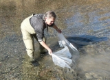 Comenzaron las campañas de monitoreo ictícola en ríos de toda la provincia
