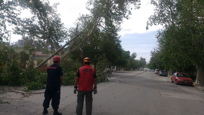 Informe provincial por viento zonda
