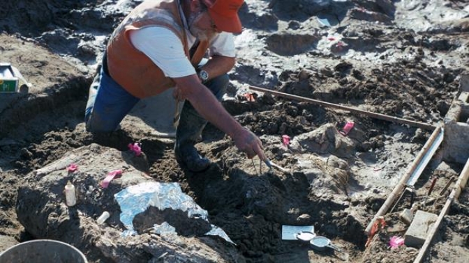 El hombre llegó a América 115.000 años antes de lo que se creía