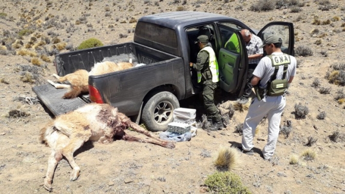 Ambiente interceptó un cazador in fraganti en Don Carmelo