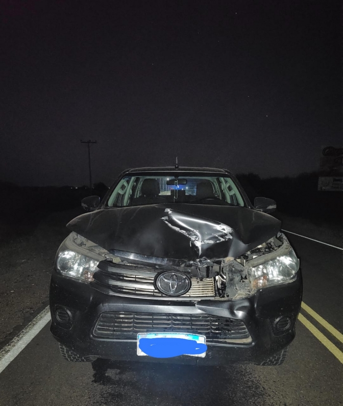 Camioneta de la municipalidad de Valle Fértil choca un animal en la ruta 510