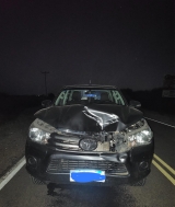 Camioneta de la municipalidad de Valle Fértil choca un animal en la ruta 510